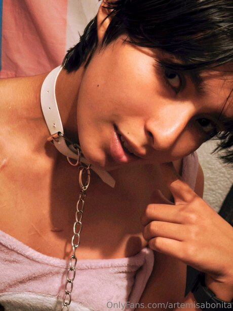Artemisabonita pretty pornstar pictures