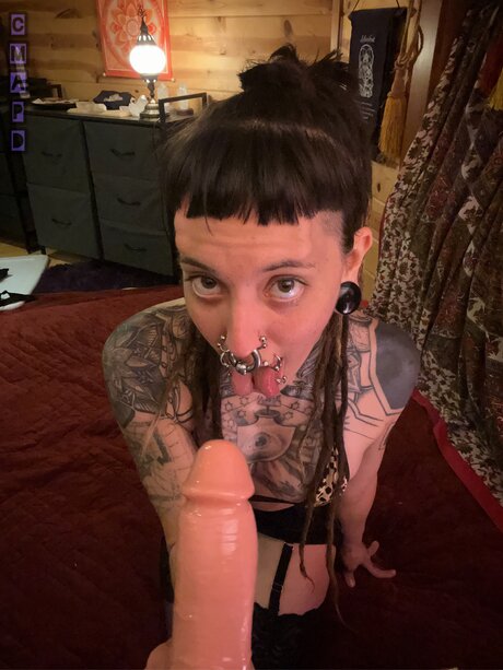 Iam Cmapd xxx star gallery