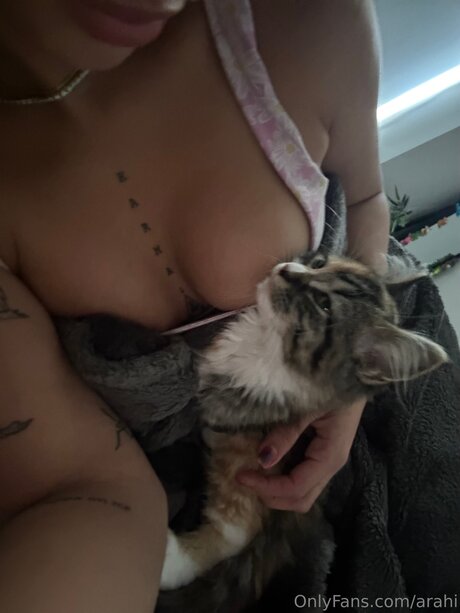 Arahi high quality model galleries