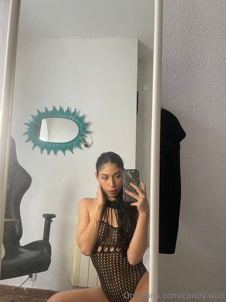 Candy Wild art pornstar picture