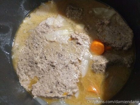 Damiendane model free image