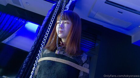 Tokyonawa pornographic model archive