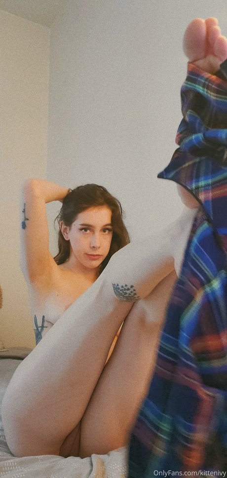 Kitten ivy SG hd star gallery