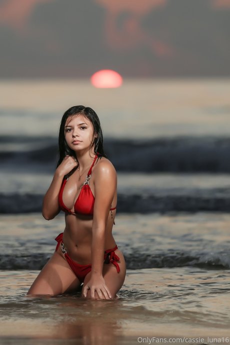 Cassie Luna perfect model picture