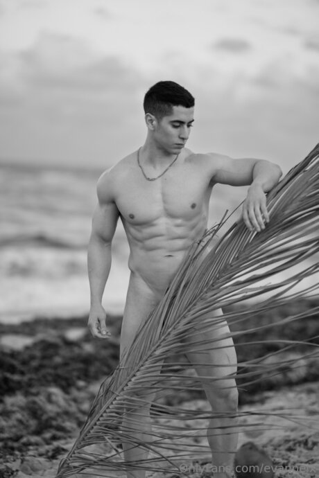 Evanpeix pornstar sex pictures