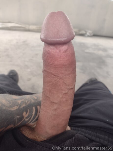 Fallenmaster69 model archive