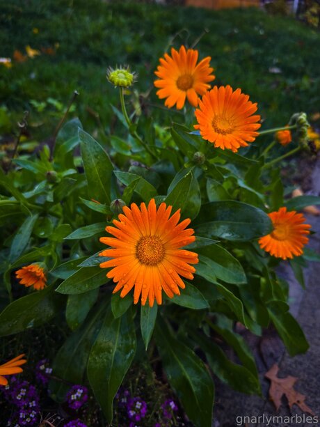 blonde young onlyfans free photos