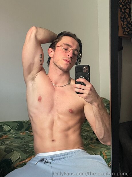 The Occitan Prince star top img