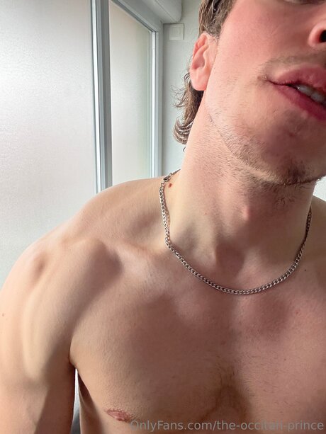 The Occitan Prince model erotic pictures