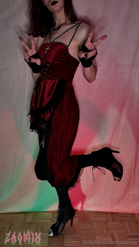 Zaomix star art galleries