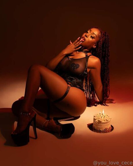 Ceceswetdreams art actress archive