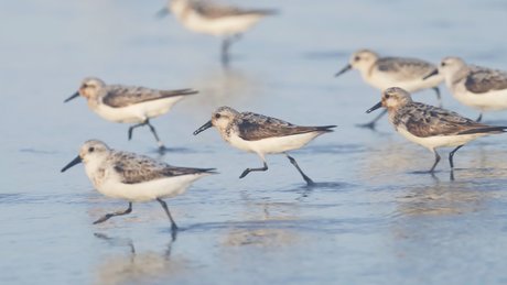 Gobirdsbabe naked actress gallery