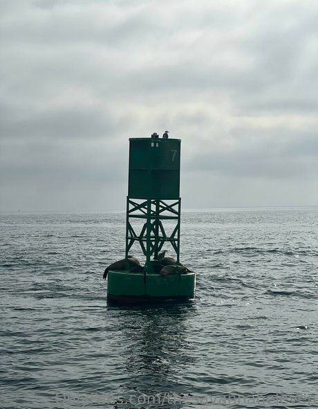 sister onlyfans perfect gallery