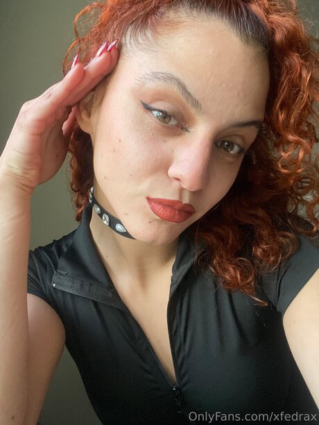 Xfedrax model art picture