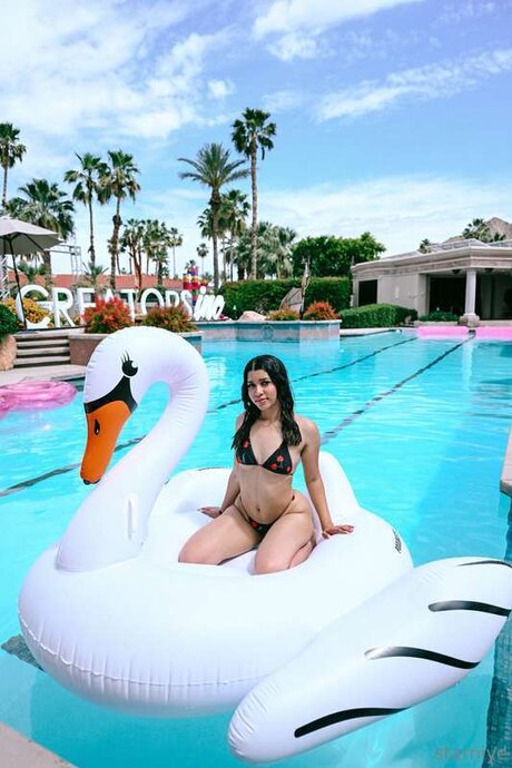 Starniye beautiful star img