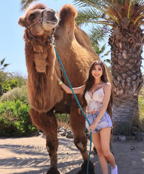 Supcaitlin adult model photo