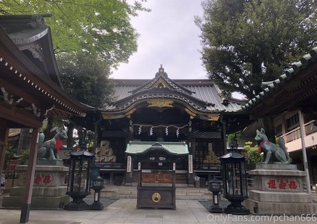 Pchan666 exclusive model gallery