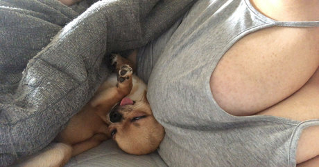 Pchan666 adult model images