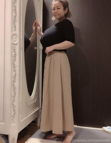 Pchan666 art model picture