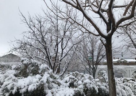 tomiko 1 nude pornstar img