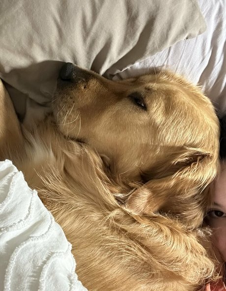 kittncore star adult pics