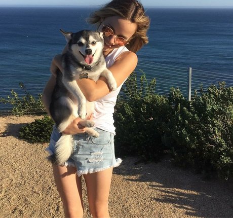 Halston Sage high quality actress img