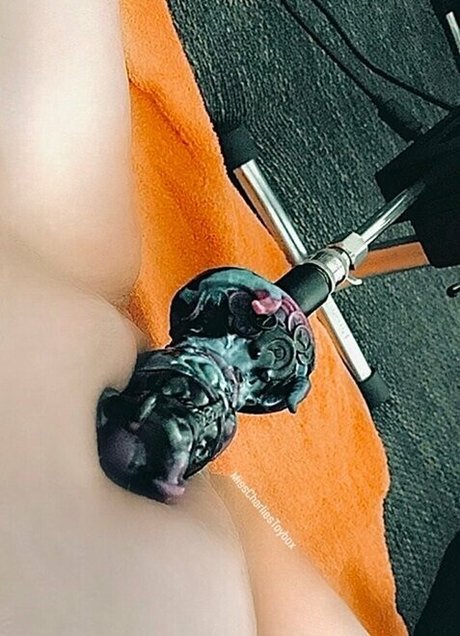 standing fuck onlyfans free picture