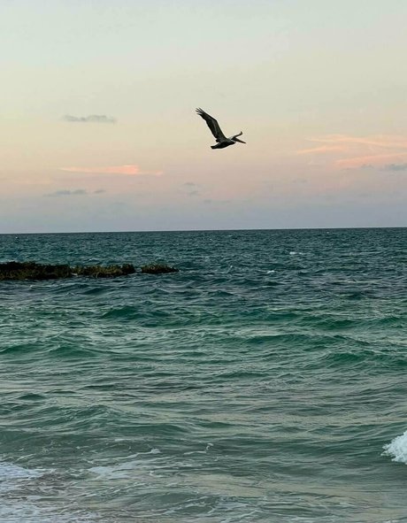 mature wife onlyfans free naked image