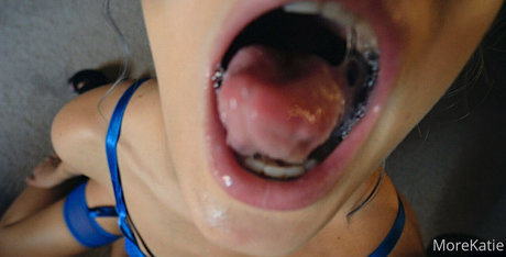 morekatie art star pictures