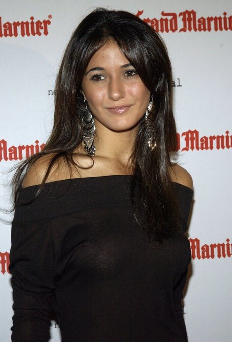 Emmanuelle Chriqui naked model picture