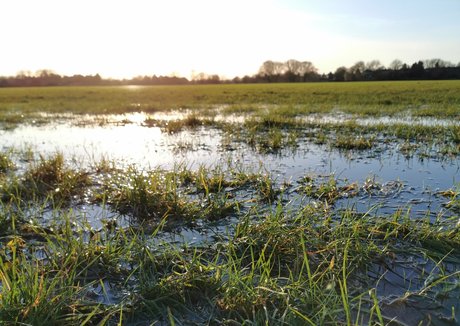 hot wife onlyfans sexy nudes pic