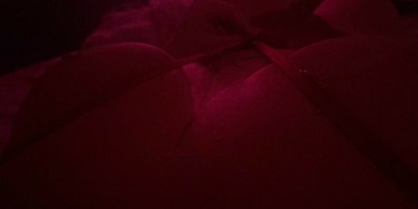 Andrea Zendejas model hd photo