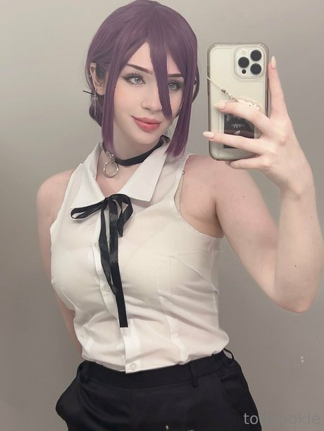Todopoki adult model image