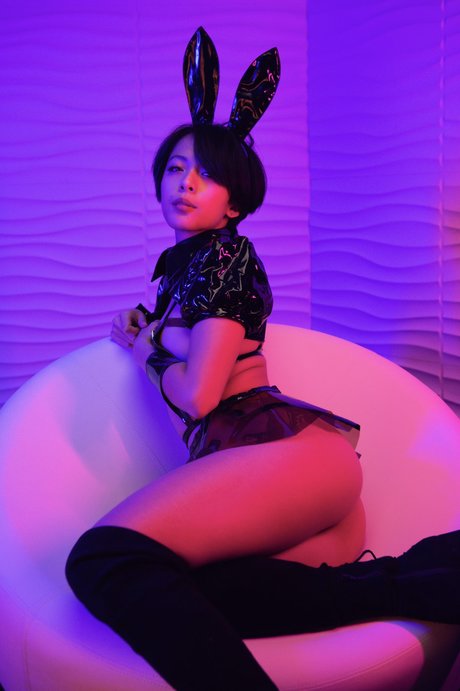 Chandradez top actress picture