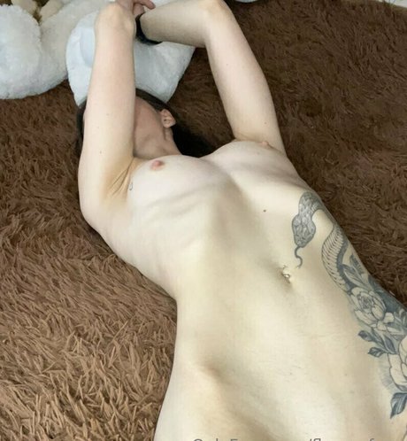 fleamxfree top pornstar photos