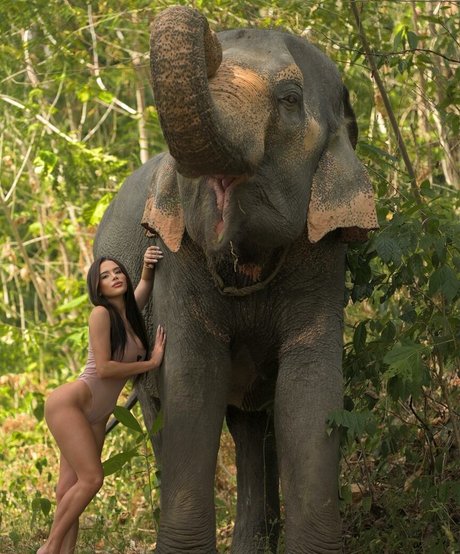 Thay Lupi pornstar erotic photos