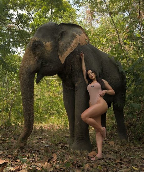 Thay Lupi star erotic photos