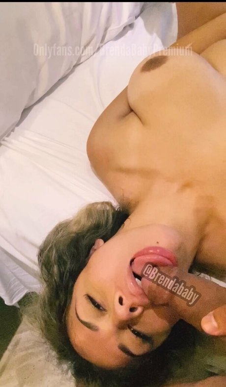 brendababypremium star art pictures