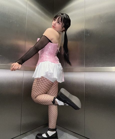 _sugashi star nice gallery