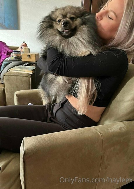 Hayleex pornstar top picture