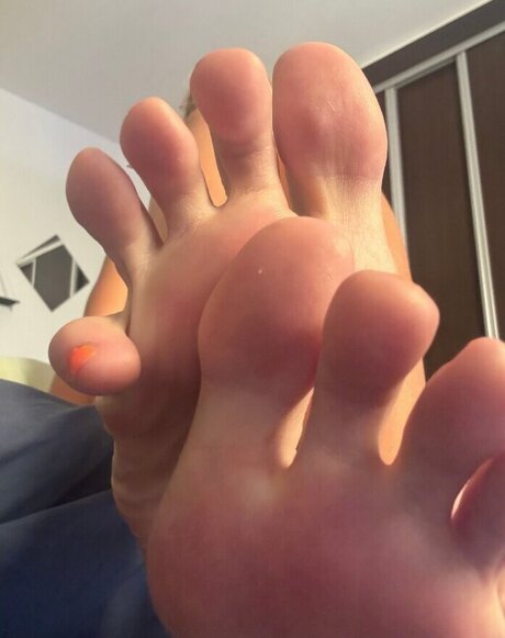 lickandysoles sex star galleries