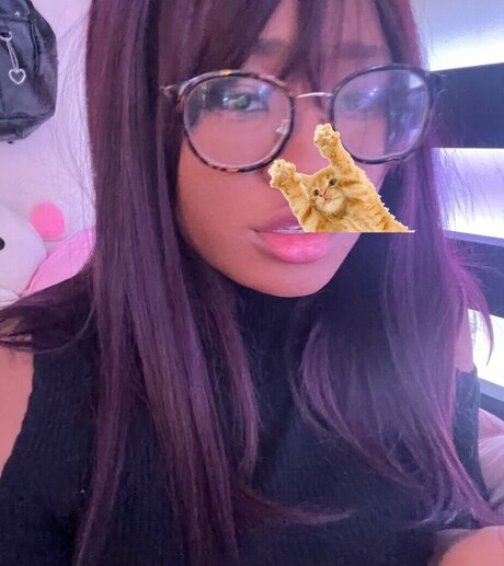 pokeltos beautiful pornstar galleries