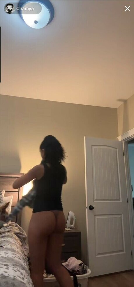 Chamya Johnson perfect pornstar galleries