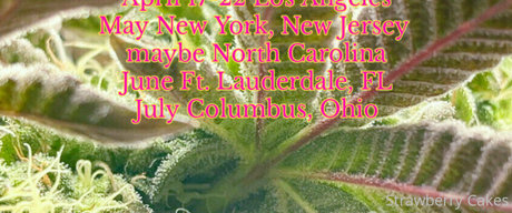 tiny ass onlyfans beautiful naked images