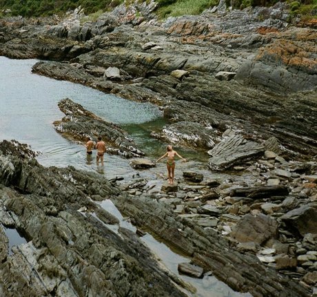 Andrea Wittenberg star high quality img