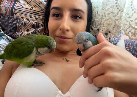 laylaaa944 high quality actress photos