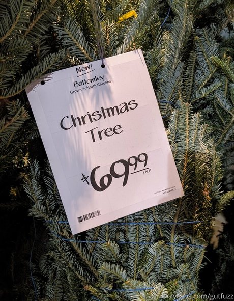 gutfuzz pornographic star pics