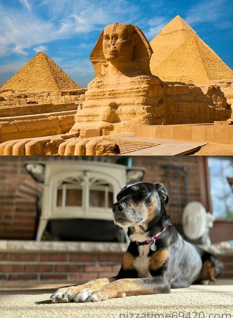 gutfuzz exclusive actress pics