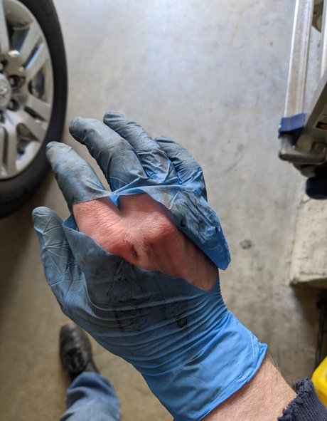 gutfuzz pretty star picture