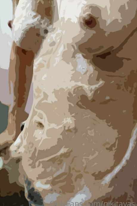 nikitavas pornographic actress picture